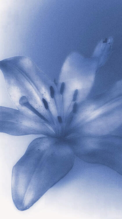 aspect ration 1:1